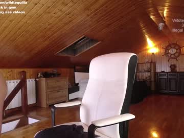 cam girl porn wildtequilla image #1467598