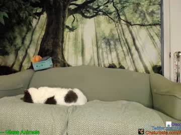 cam girl porn aliceriverscam image #2223000