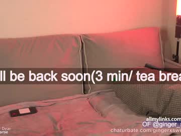 cam girl porn gingerxsweetness image #1246453