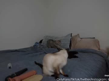 cam girl porn saraxjacob image #1909123