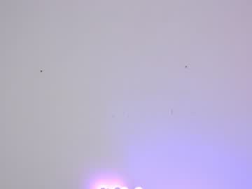 cam girl porn sapphirealice image #1746792