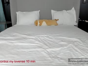 cam girl porn carolinaherera image #6660583