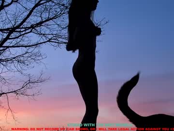 cam girl porn coy_amina image #820045