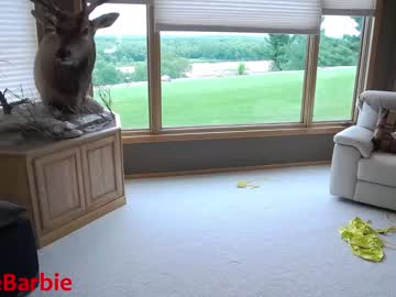cam girl porn rvlifebarbie image #2187143