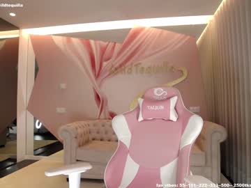 cam girl porn wildtequilla image #2811453