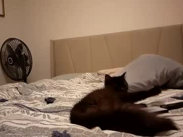 cam man porn 2stroke82 image #7054735