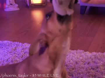 cam girl porn phoenix_taylor image #3071067