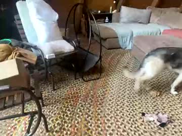 cam girl porn emersoncane image #4155179