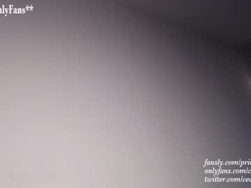 cam girl porn princess_cece image #1629267