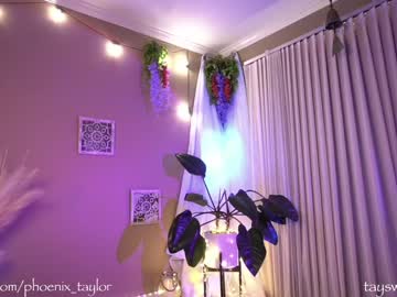 cam girl porn phoenix_taylor image #2533849