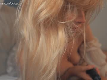 cam girl porn ocicat image #4472779