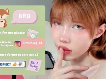 cam girl porn littlething88 image #347645