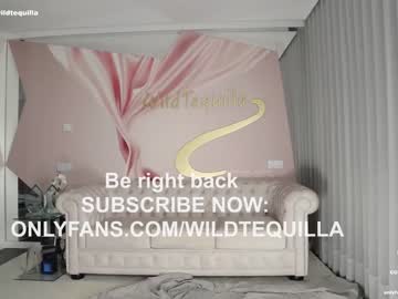 cam girl porn wildtequilla image #5496854