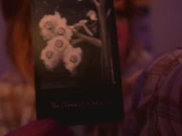 cam girl porn sisypheanlove image #4439389