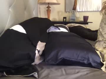 cam girl porn annabisoux image #4129656