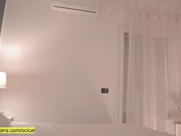 cam girl porn ocicat image #3250759