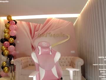 cam girl porn wildtequilla image #3557677