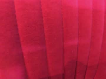 cam girl porn ehotlovea image #6087552