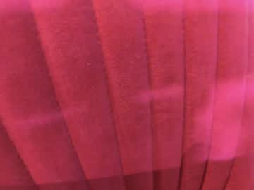 cam girl porn ehotlovea image #6054018