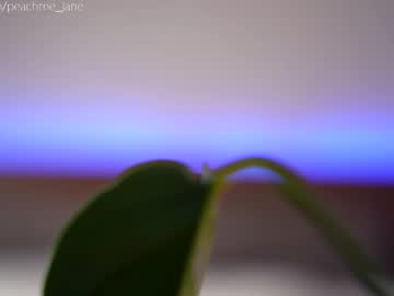 cam girl porn peach_me image #542952