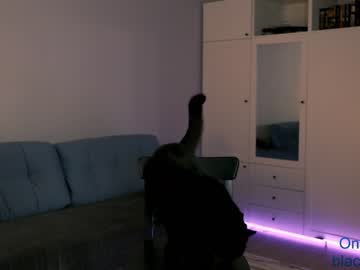 cam girl porn _blackbee_ image #2238626
