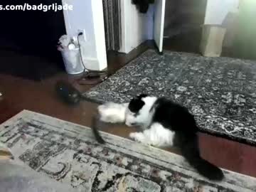 cam girl porn badgrljade image #5550046