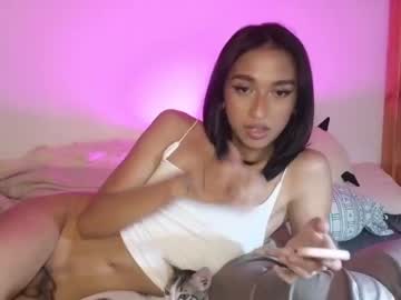 cam tranny porn indiana_rouge image #3698059