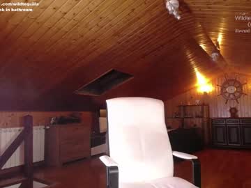 cam girl porn wildtequilla image #1721147