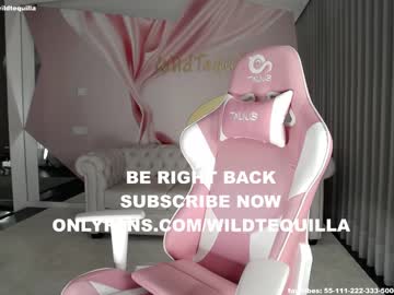 cam girl porn wildtequilla image #2760343