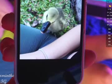 cam girl porn pepperxminthe image #4604123