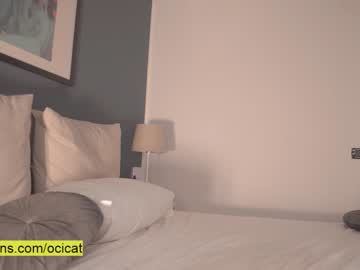 cam girl porn ocicat image #2790732