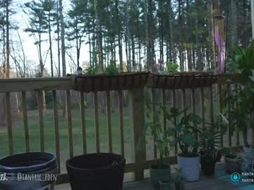cam girl porn tantric_eden_ image #4214542