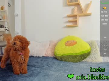 cam girl porn _blaackberry image #1175540