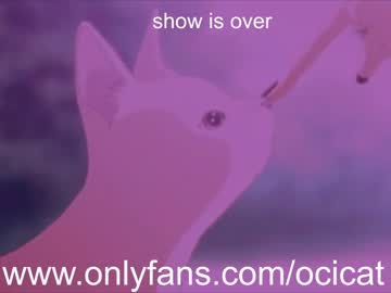 cam girl porn ocicat image #2440386