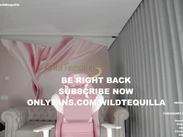cam girl porn wildtequilla image #3026138