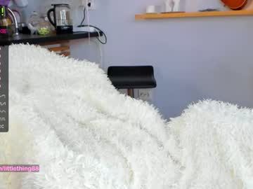 cam girl porn littlething88 image #2297761