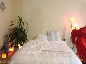 cam girl porn phoenix_taylor image #5708318