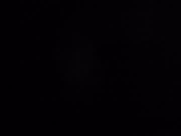 cam girl porn princess_moana image #1201218