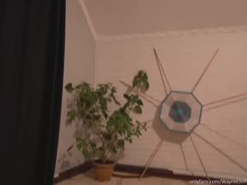 cam man porn waynenorth image #1740413