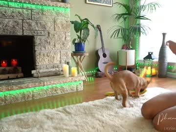 cam girl porn phoenix_taylor image #1772231