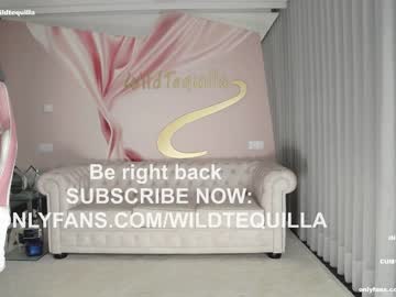 cam girl porn wildtequilla image #4965114
