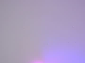 cam girl porn sapphirealice image #1166609