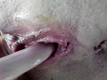 cam girl porn courtney_luv image #6787775