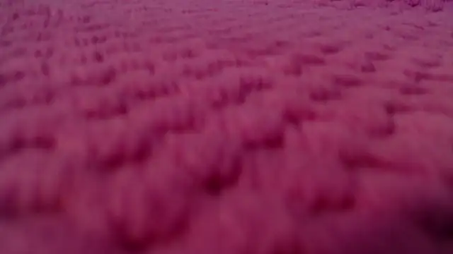 Stripchat sex cam AmyCarter2